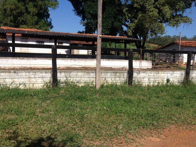 #FMFZ2251DR - Fazenda para Venda em Paraopeba - MG - 3