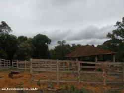#FMFZ9365CN - Fazenda para Venda em Barbacena - MG - 1